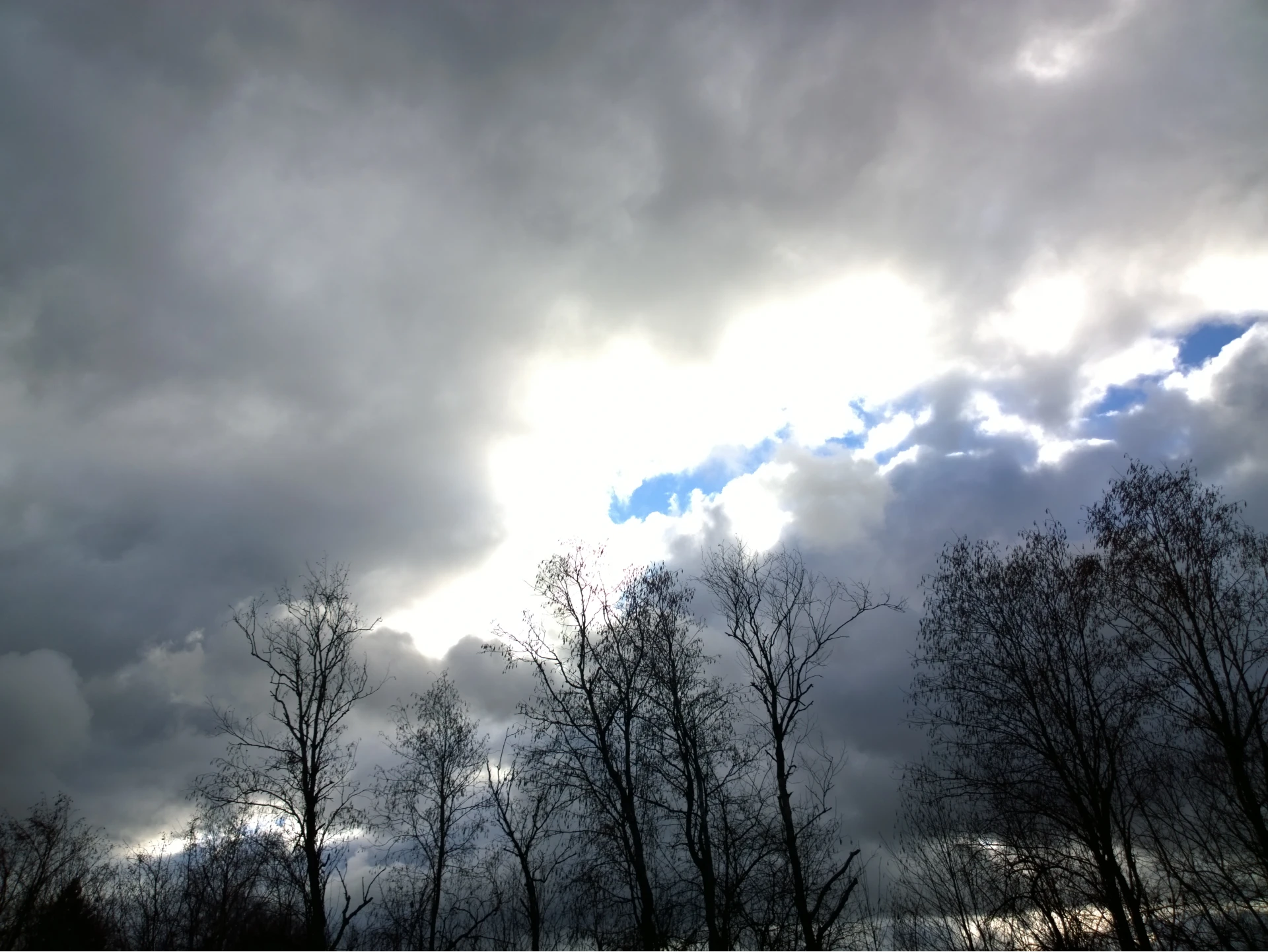 Taken on Nokia Lumia 1020